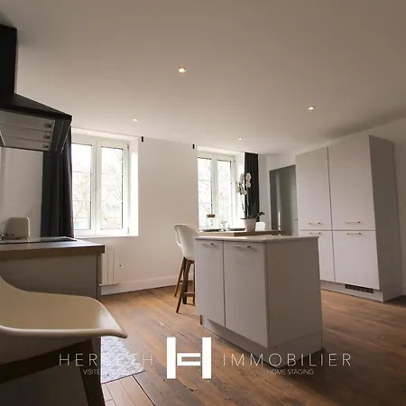 Apartment H-bnb - La Neufbourg Metz